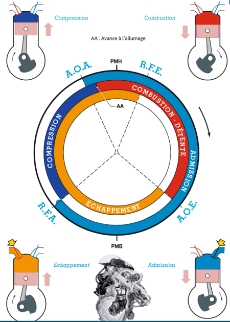 Pure Circulaire De Distribution Motorisation